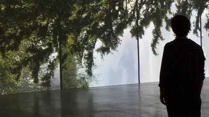 The Power of Trees, Eija-Liisa Ahtila A person viewing a large-scale projection of a tree