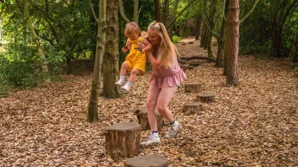Tree Trunk Trek at Wakehurst, Visual Air © RBG Kew