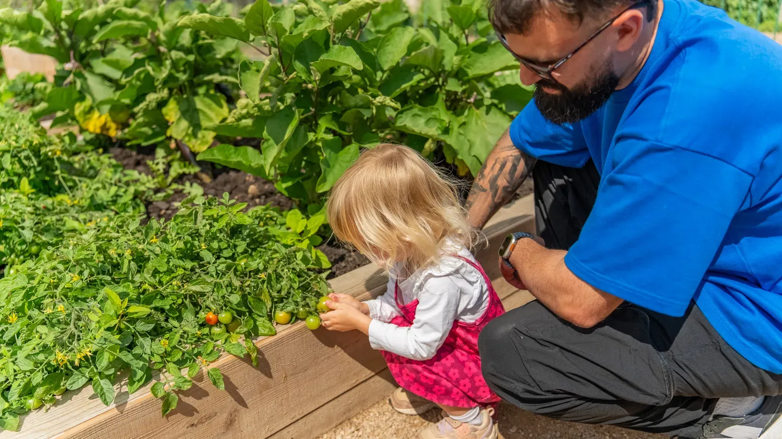 Children's and Community Garden