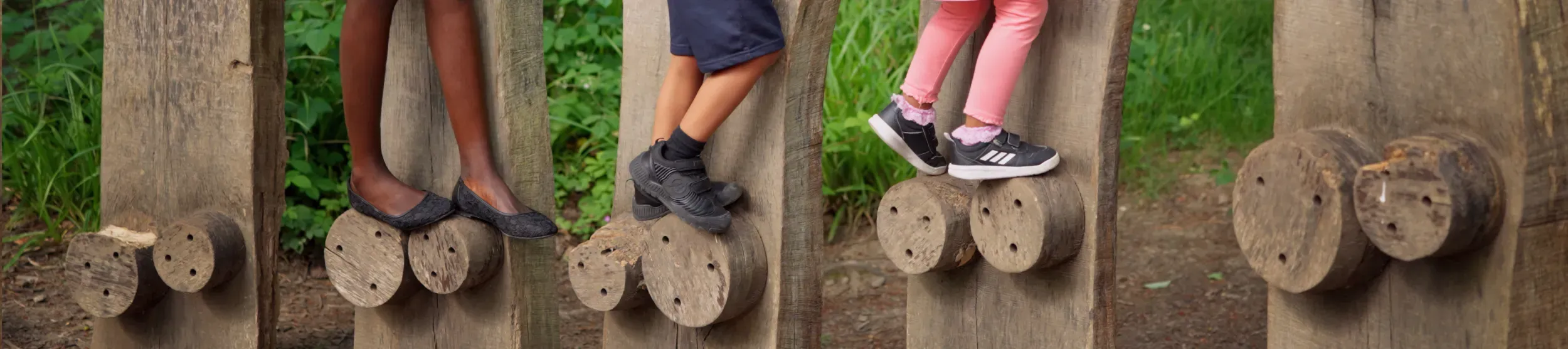 Tree Trunk Trek