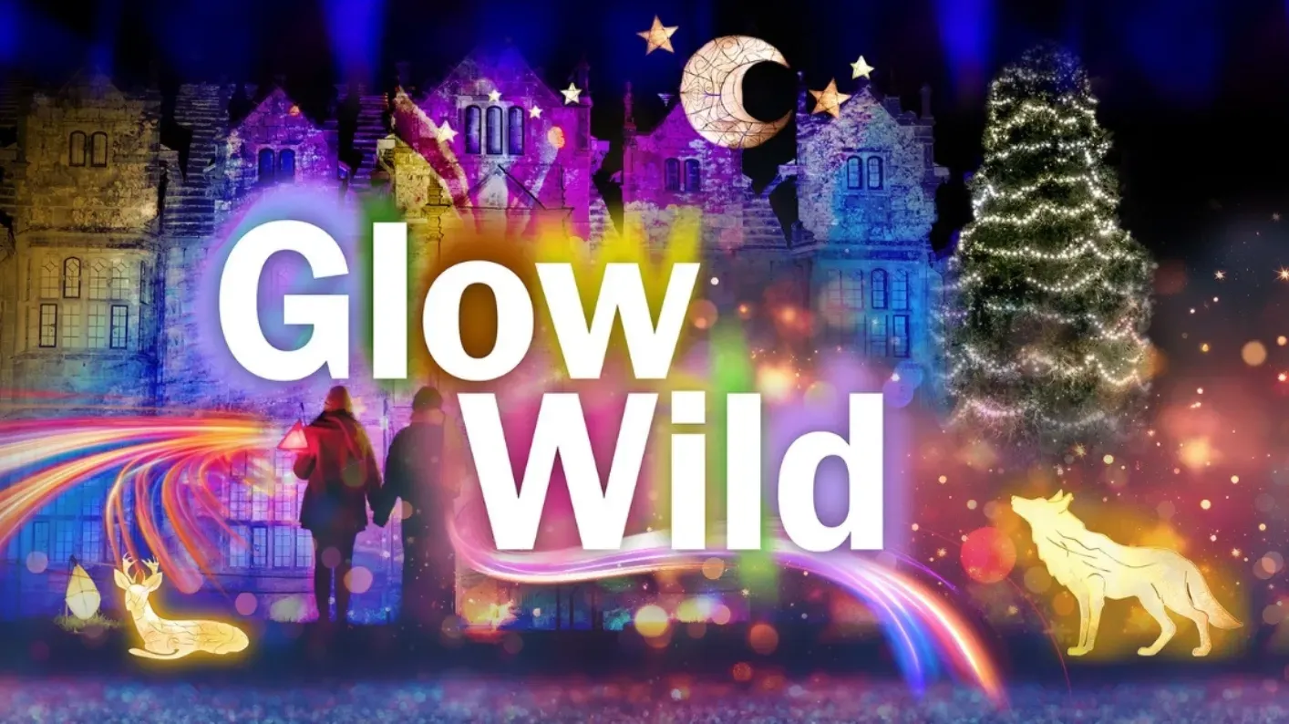 Glow Wild 2025