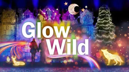 Glow Wild 2025 Glow Wild 2025