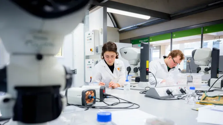 168一分钟赛车查询历史开奖网站_开奖记录 botanical Propagation Assistant, Eliana Van Der Schraft, is scarifying seed under a microscope to check the quality and to check for infections.